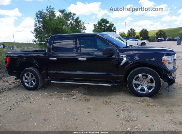 1FTEW1CPXPKF53434 2023 FORD F150 Black Widok wnętrza 360 stopni