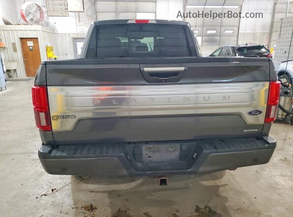 1FTEW1E41LFA71862 2020 FORD F150 Gray Rear view