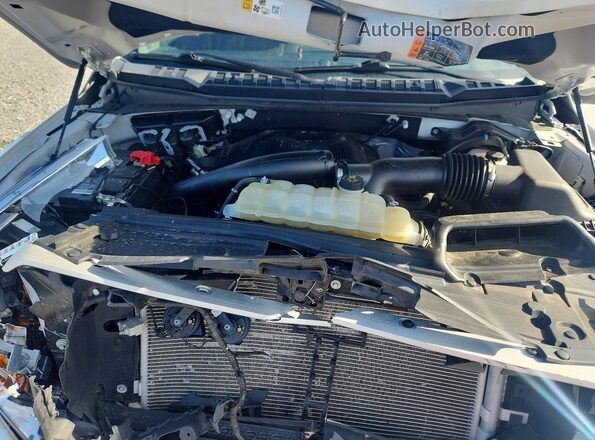 1FTEW1E41LFC49396 2020 FORD F150 White Widok wnętrza z tyłu