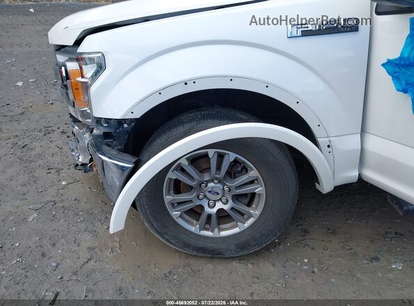 1FTEW1E42KFC00450 2019 FORD F150 White Вид спереду