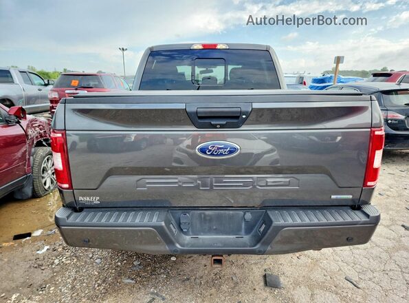 1FTEW1E42KFD12729 2019 FORD F150 Gray Widok z tyłu