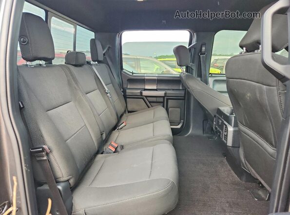 1FTEW1E42KFD12729 2019 FORD F150 Gray Widok tylnych siedzeń