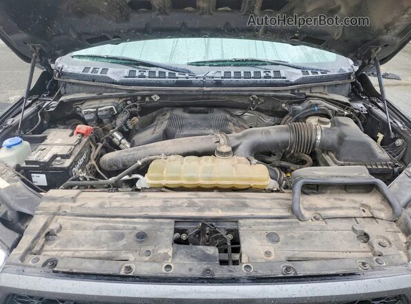 1FTEW1E43KFB88440 2019 FORD F150 Серый Вид задней части салона