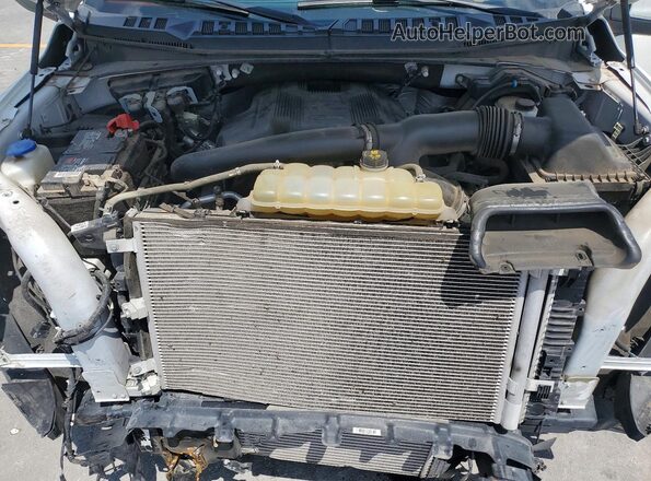 1FTEW1E44LFC81985 2020 FORD F150 White უკანა სალონის ხედი