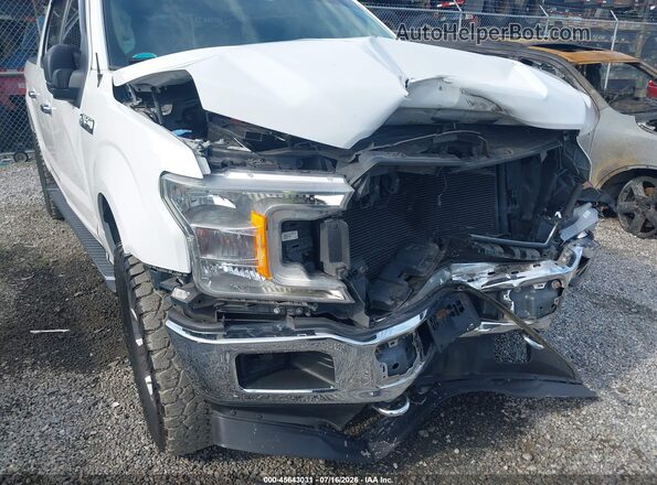 1FTEW1E45KFA74021 2019 FORD F150 White Դիմացի տեսք