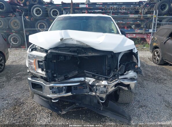 1FTEW1E45KFA74021 2019 FORD F150 White Սալոնի հետևի տեսք