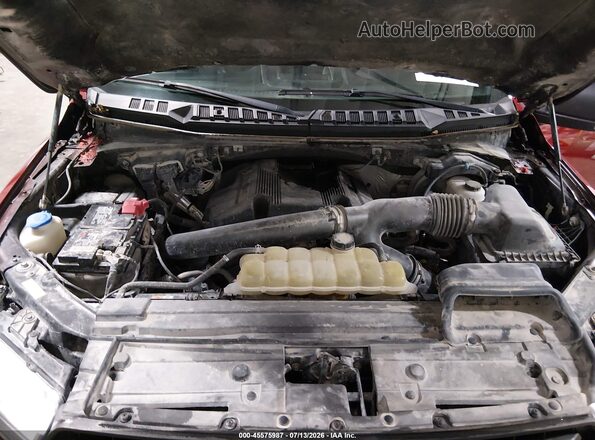 1FTEW1E46KFC56326 2019 FORD F150 Red Widok z tyłu