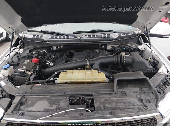 1FTEW1E47KFB46661 2019 FORD F150 White Widok z tyłu