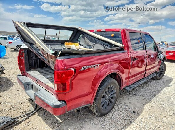 1FTEW1E47KKE63427 2019 FORD F150 Red Rear right