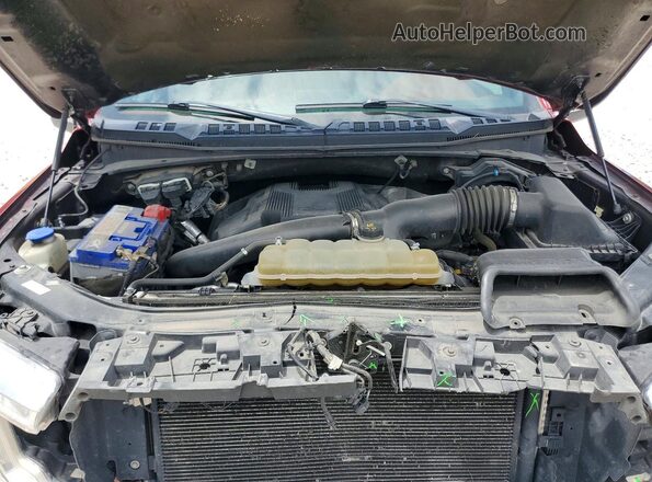 1FTEW1E48KFB45924 2019 FORD F150 Красный Вид задней части салона