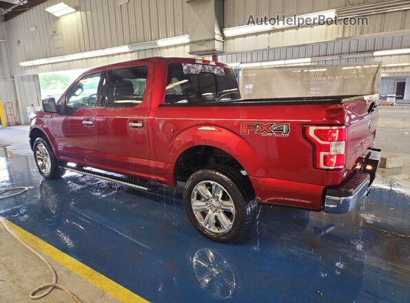 1FTEW1E49KFA91937 2019 FORD F150 Бордовый 