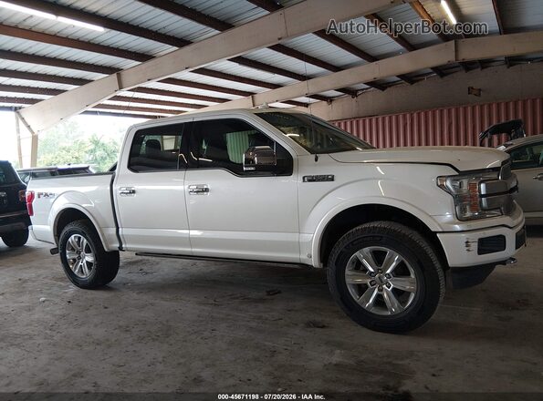 1FTEW1E49KFC01238 2019 FORD F150 White Սալոնի հետևի տեսք