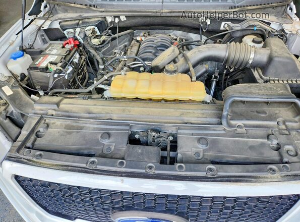 1FTEW1E51KFC60471 2019 FORD F150 Белый Вид задней части салона