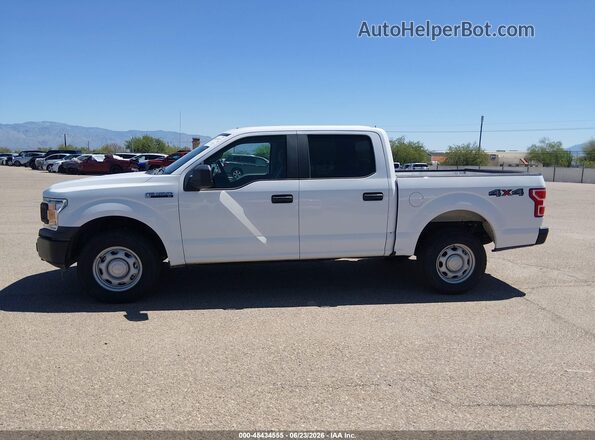 1FTEW1E51LKD68355 2020 FORD F150 Белый 