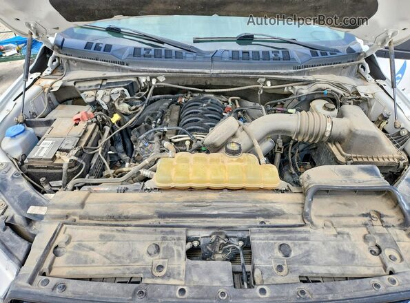 1FTEW1E52LKD61866 2020 FORD F150 Белый Вид задней части салона