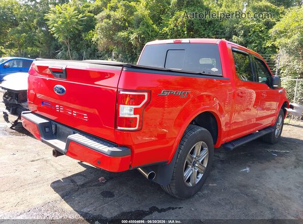 1FTEW1E53JFE13494 2018 FORD F150 Red Tył prawy