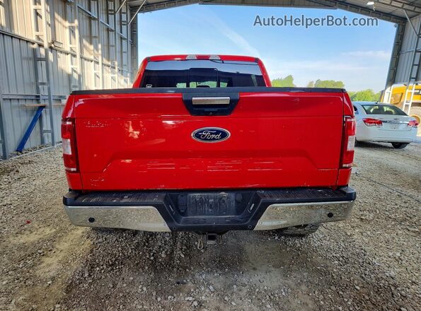 1FTEW1E53KKC33487 2019 FORD F150 Красный Вид сзади