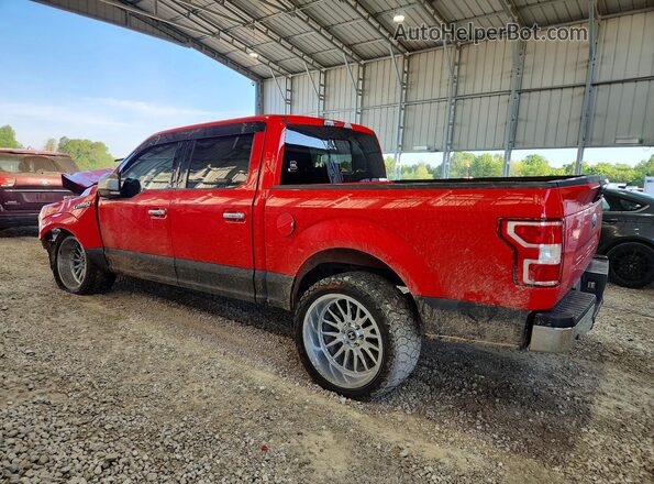1FTEW1E53KKC33487 2019 FORD F150 Красный Задняя левая четверть