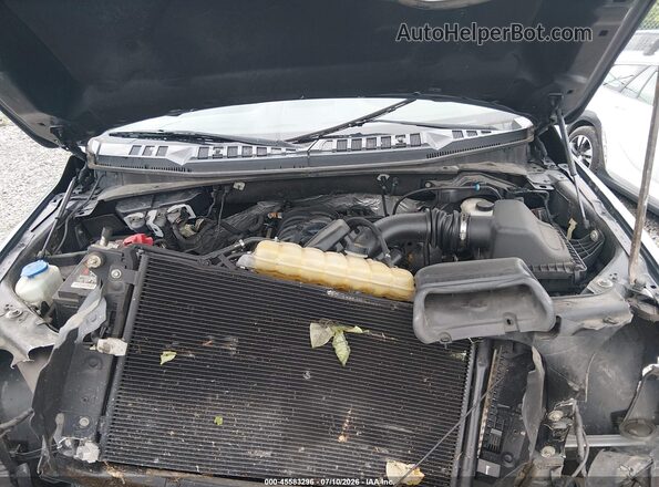 1FTEW1E55KFC18000 2019 FORD F150 Gray Widok z tyłu