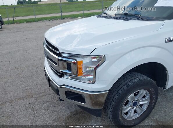 1FTEW1E56LFB37136 2020 FORD F150 Белый Вид спереди