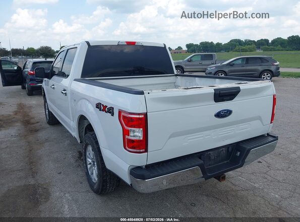 1FTEW1E56LFB37136 2020 FORD F150 Белый Задняя левая четверть