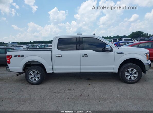 1FTEW1E56LFB37136 2020 FORD F150 Белый Вид задней части салона