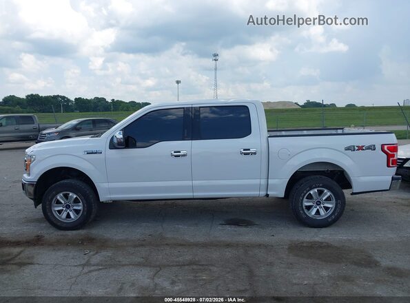 1FTEW1E56LFB37136 2020 FORD F150 Белый Панорамный вид салона 360°