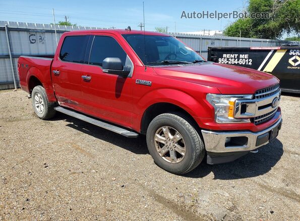1FTEW1E56LKD33844 2020 FORD F150 Maroon წინა მარჯვენა