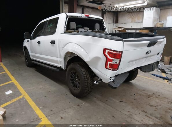 1FTEW1E57KKC04705 2019 FORD F150 White Задня ліва чверть