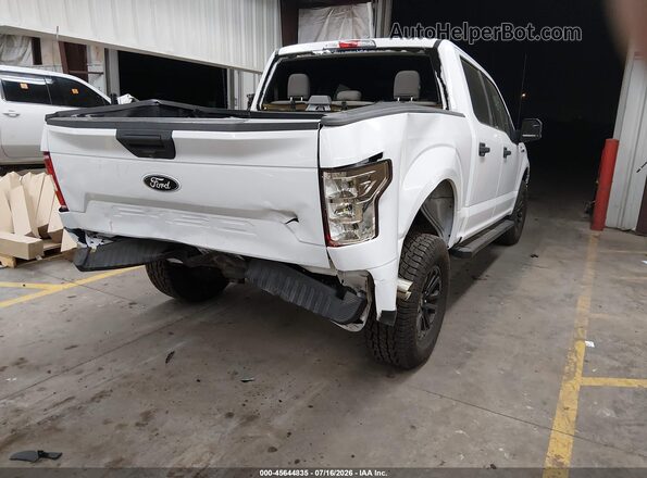 1FTEW1E57KKC04705 2019 FORD F150 White Задня права чверть