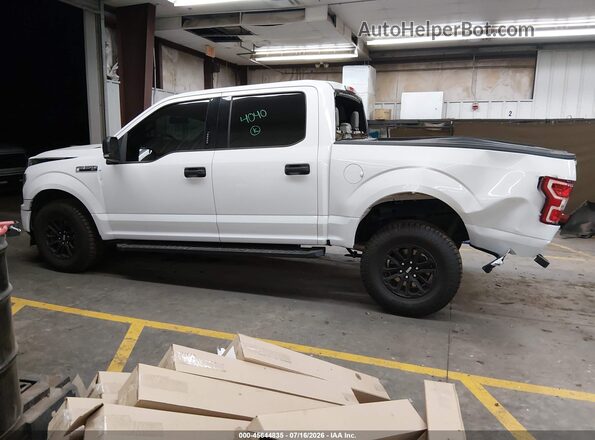 1FTEW1E57KKC04705 2019 FORD F150 White 