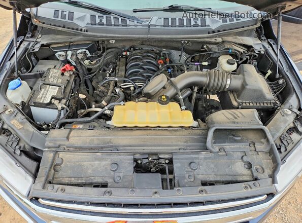 1FTEW1E57LFA22979 2020 FORD F150 Blue Widok wnętrza z tyłu