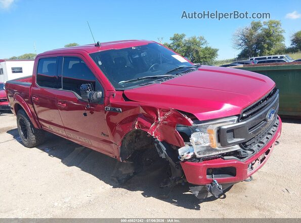 1FTEW1E57LKD44027 2020 FORD F150 Красный Вид спереди