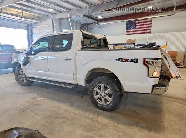 1FTEW1E58JKF79081 2018 FORD F150 White Tył lewy