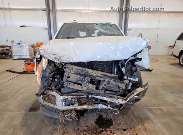 1FTEW1E58JKF79081 2018 FORD F150 White Widok z przodu