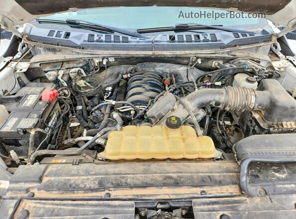 1FTEW1E58KKC71796 2019 FORD F150 Белый Вид задней части салона