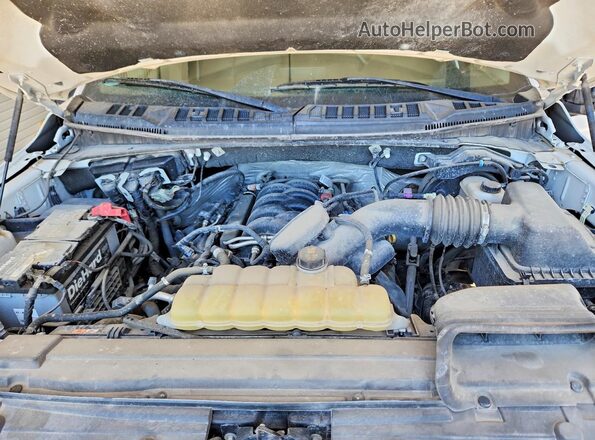 1FTEW1E58LKD09335 2020 FORD F150 White Widok wnętrza z tyłu