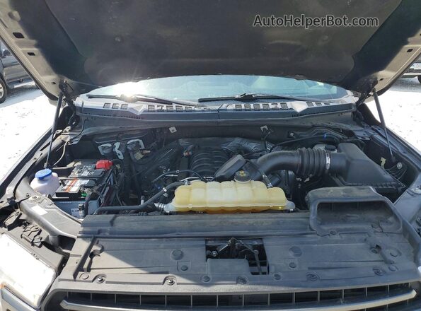 1FTEW1E59LFA45308 2020 FORD F150 Gray Вид задньої частини салону