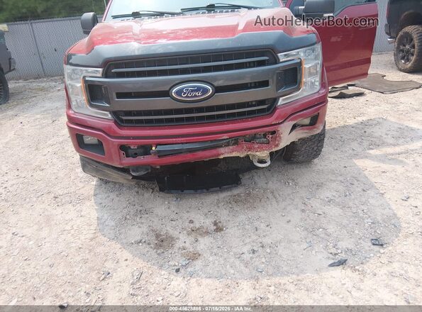 1FTEW1E5XKFD35846 2019 FORD F150 Бордовый Вид спереди