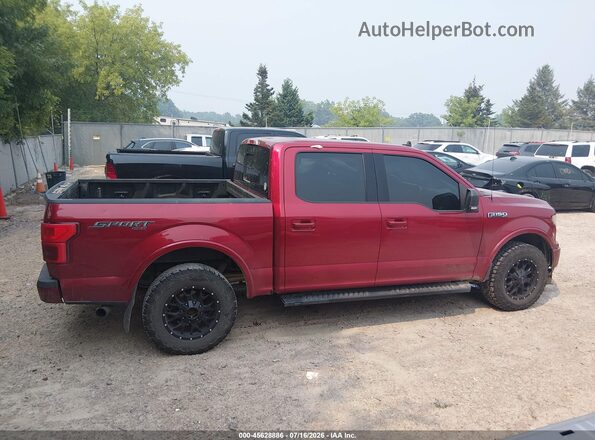 1FTEW1E5XKFD35846 2019 FORD F150 Бордовый Вид задней части салона