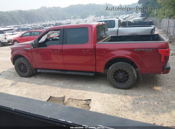 1FTEW1E5XKFD35846 2019 FORD F150 Бордовый Панорамный вид салона 360°
