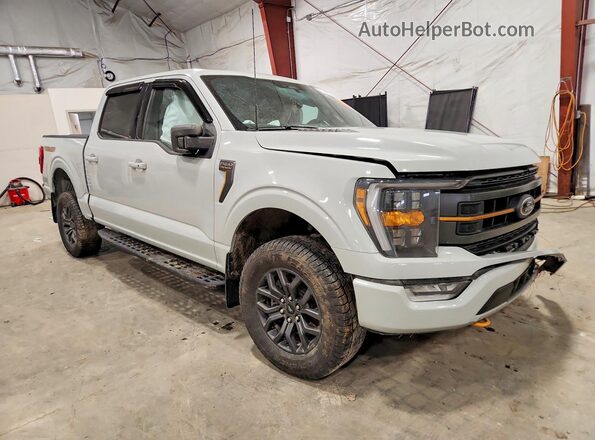 1FTEW1E80PFC70703 2023 FORD F150 Серый Передняя правая четверть
