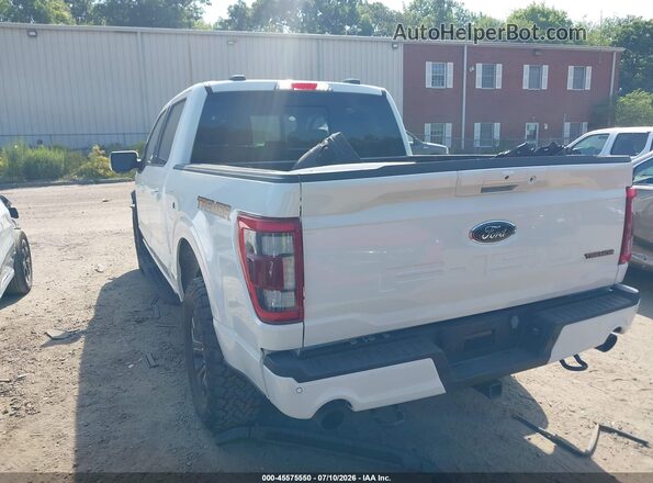 1FTEW1E80PFD23870 2023 FORD F150 Белый Задняя левая четверть