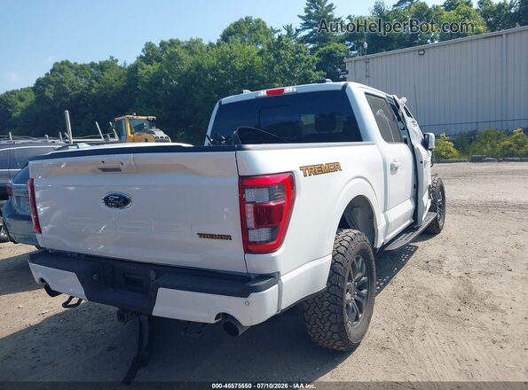 1FTEW1E80PFD23870 2023 FORD F150 Белый Задняя правая четверть