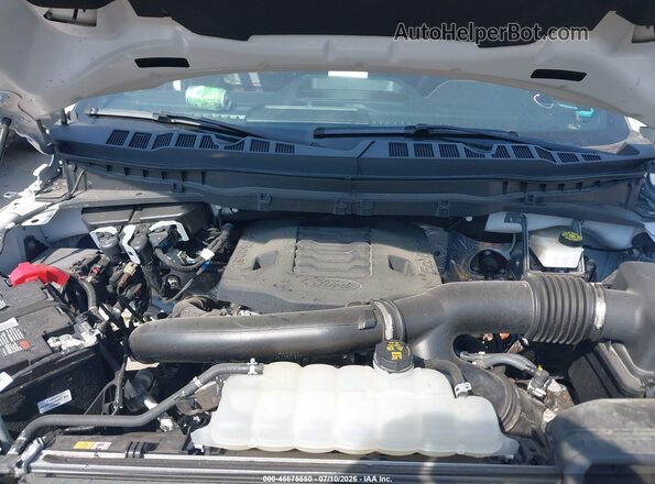 1FTEW1E80PFD23870 2023 FORD F150 Белый Вид сзади
