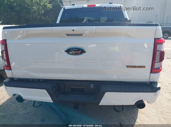 1FTEW1E80PFD23870 2023 FORD F150 Белый 