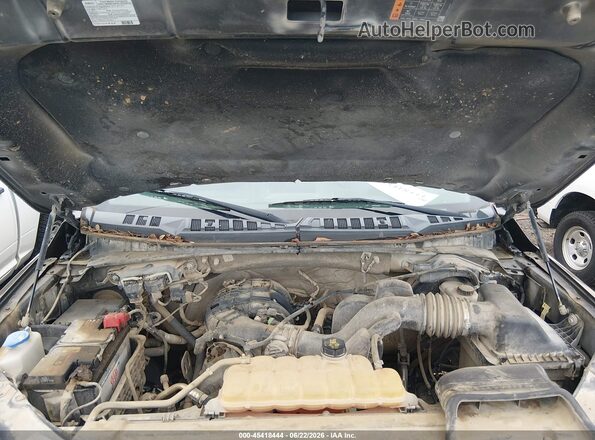 1FTEW1E82HKE26331 2017 FORD F150 Коричневый Вид сзади