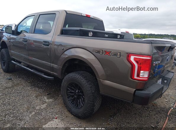 1FTEW1E82HKE26331 2017 FORD F150 Коричневый Задняя левая четверть