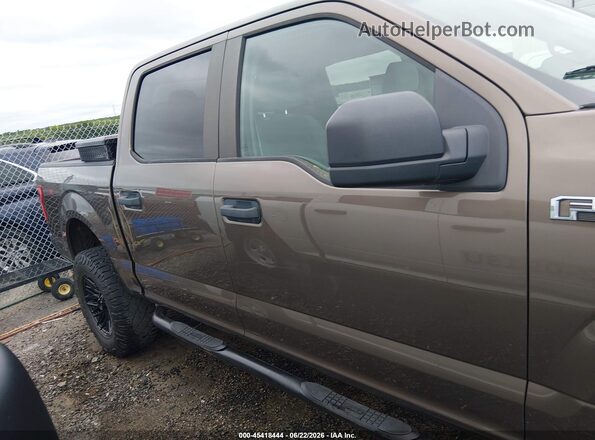 1FTEW1E82HKE26331 2017 FORD F150 Коричневый Вид задней части салона