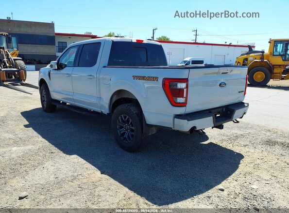 1FTEW1E83PFB34078 2023 FORD F150 Gray Trasero izquierdo